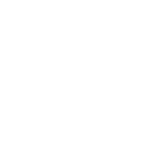 Vintian Asset 1
